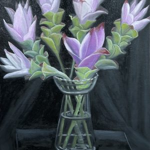 Siam Tulip on a Black Background