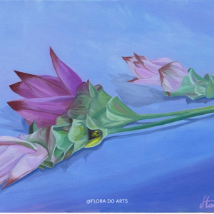 A realistic oil painting of three purple and pink Siam tulip flowers (Curcuma alismatifolia) lying gently on a soft periwinkle blue surface. The petals range from pale pink to deep magenta, with green leafy bracts and long stems. The delicate shadows and subtle light create a calm, almost meditative atmosphere. Signed “Flora 2025” in the bottom right corner.