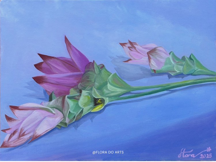 A realistic oil painting of three purple and pink Siam tulip flowers (Curcuma alismatifolia) lying gently on a soft periwinkle blue surface. The petals range from pale pink to deep magenta, with green leafy bracts and long stems. The delicate shadows and subtle light create a calm, almost meditative atmosphere. Signed “Flora 2025” in the bottom right corner.