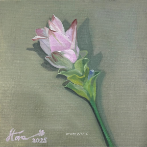 Tiny Siam Tulip